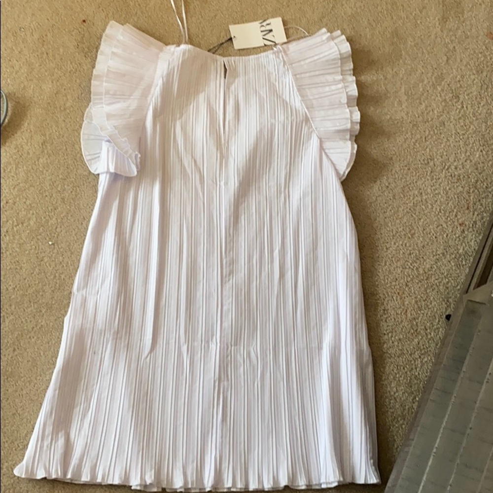 Zara pleated dress bloggers favorite - Picture 13 of 13